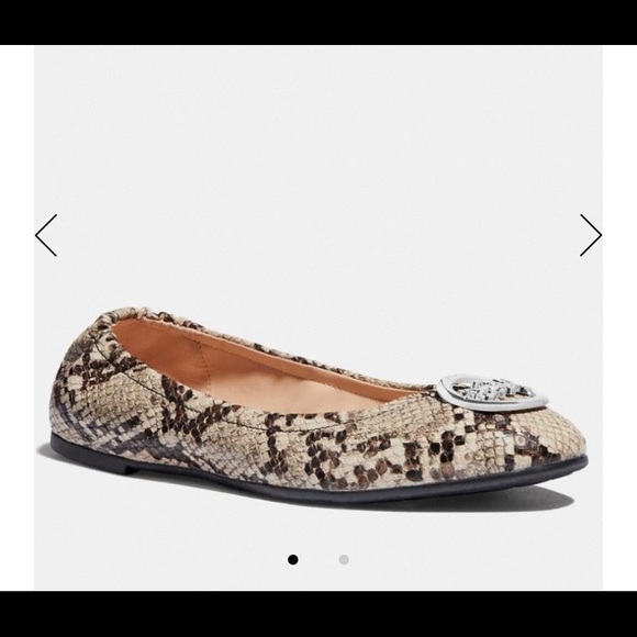 Coach Bailey Ballet Flats - Picture 1 of 13